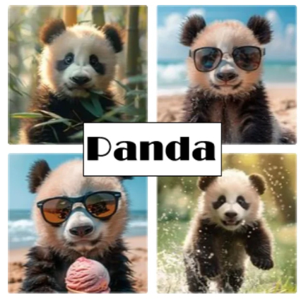 Displates Panda
